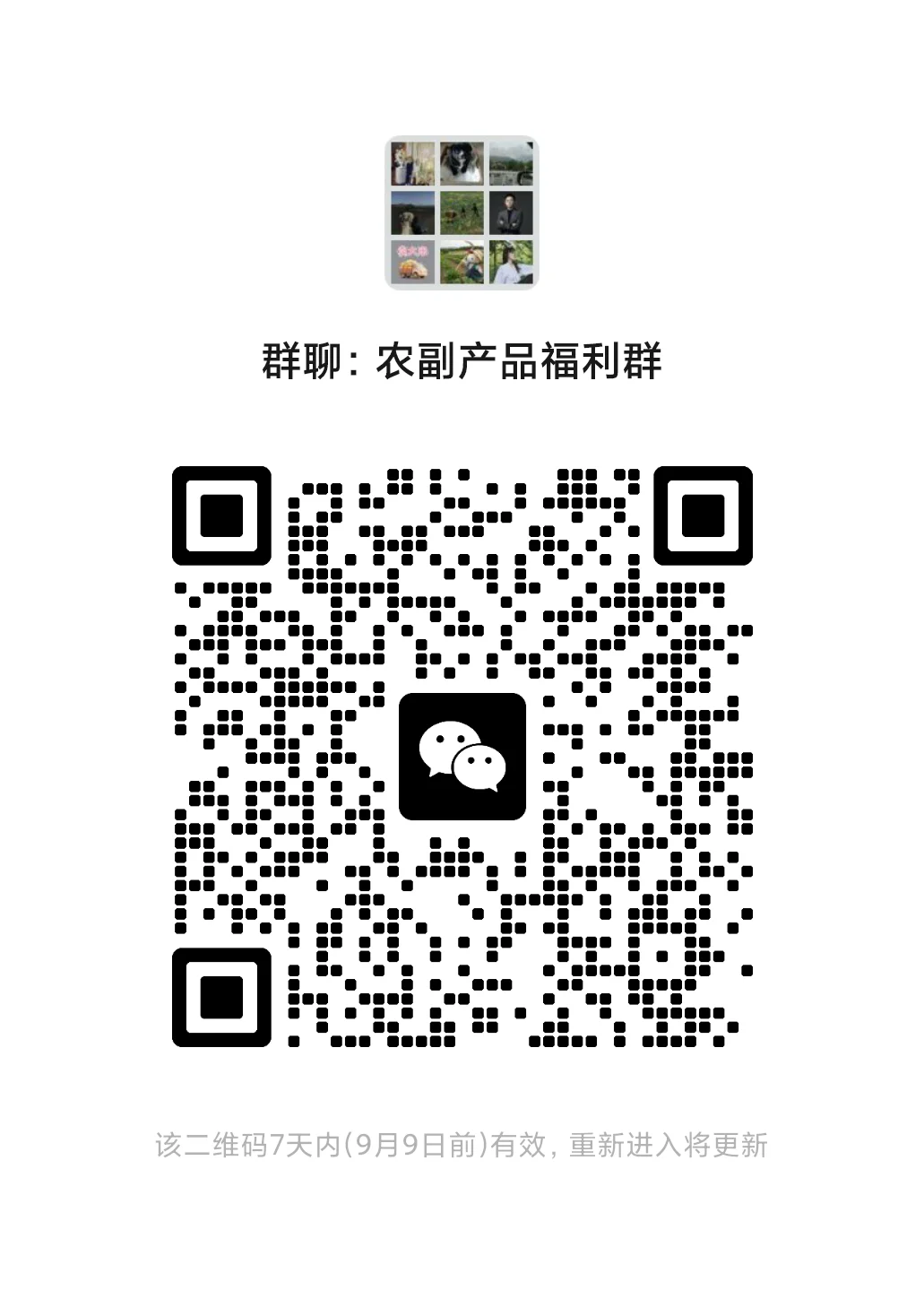 不要错过的农产品福利群❗️