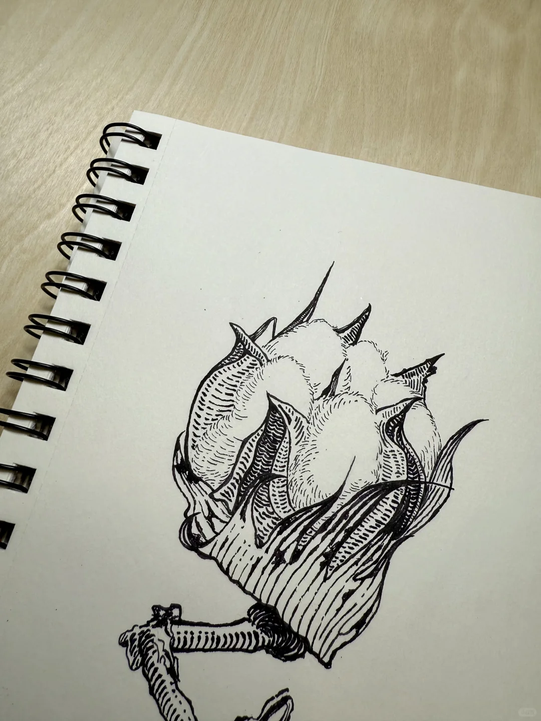 一朵棉花｜跟阿奔学钢笔画｜练习22