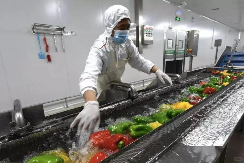 50多岁人在农村，做这个小加工厂，非常合适