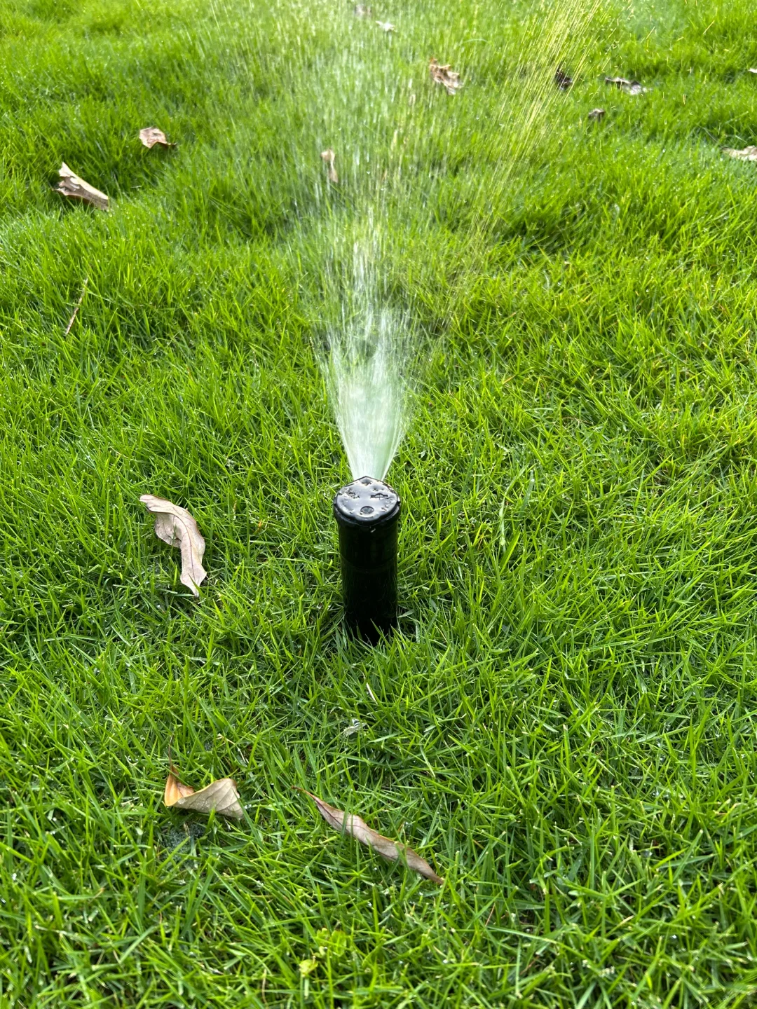 草坪的灌溉系统踩坑