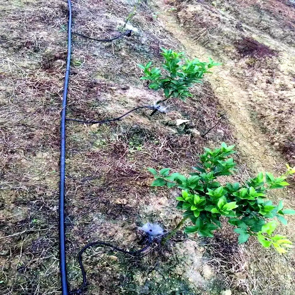 ?农业微喷灌:绿色革命的先锋者?