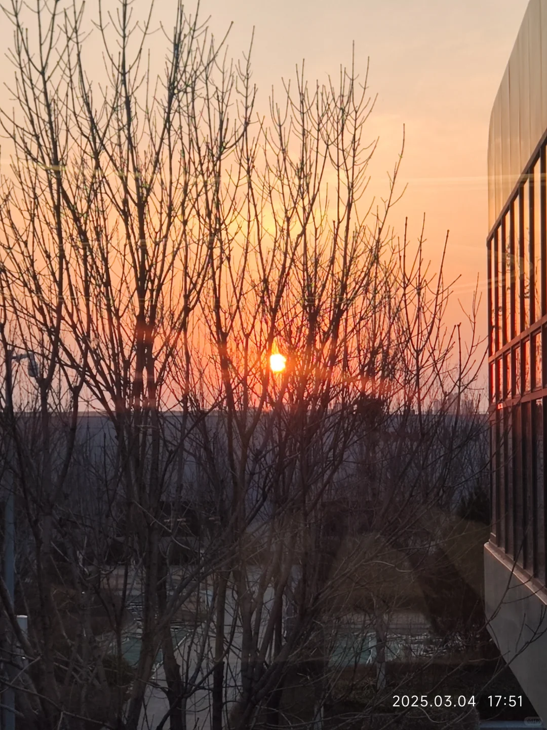 记录一下吧～#清华博士 #氢能示范区