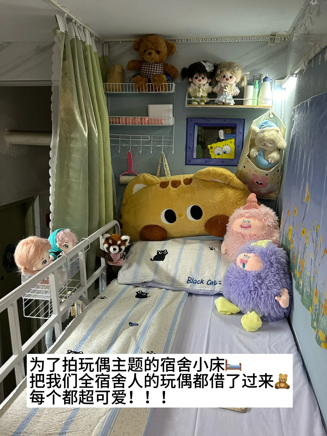 ✍️女大学生的超可爱玩偶分享?均价十几?