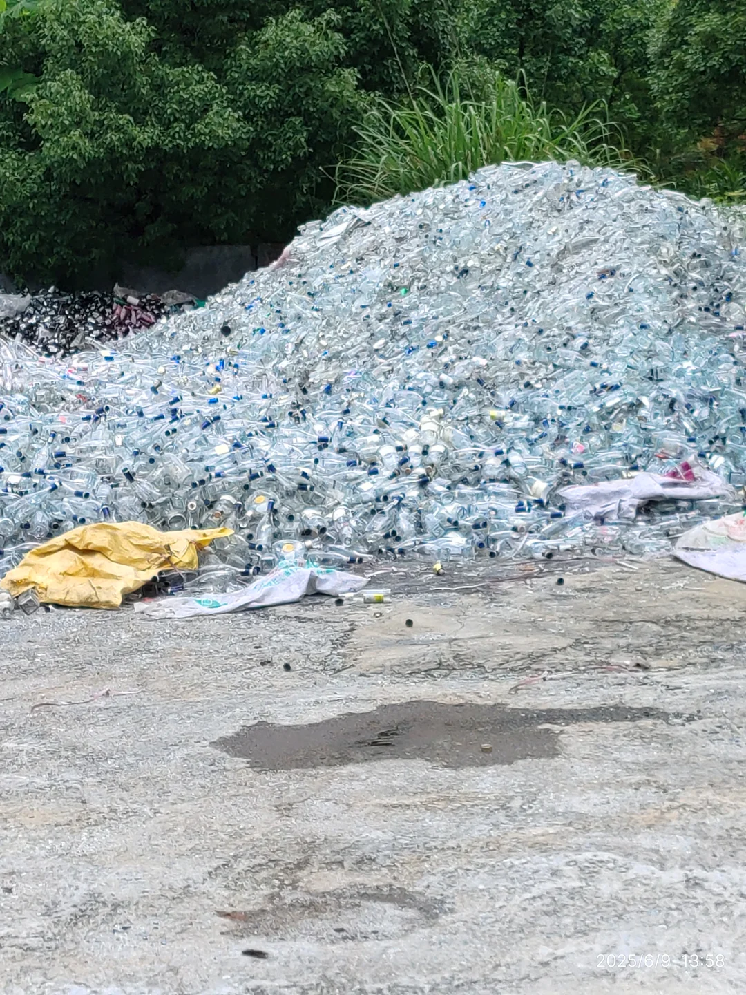 废弃塑料瓶的再生之旅～