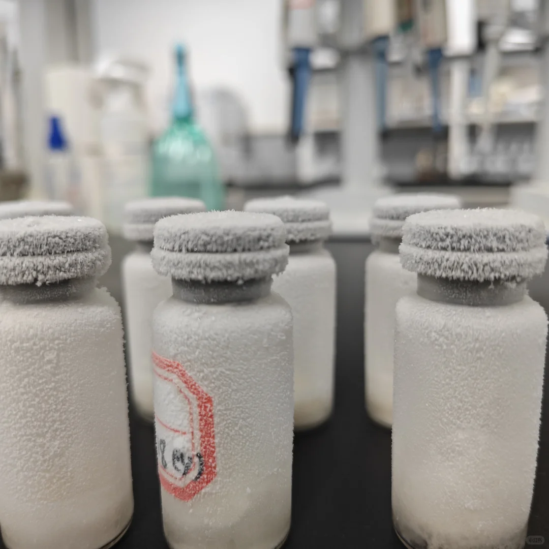 那是一条从雏鸡到牦牛的兽医路