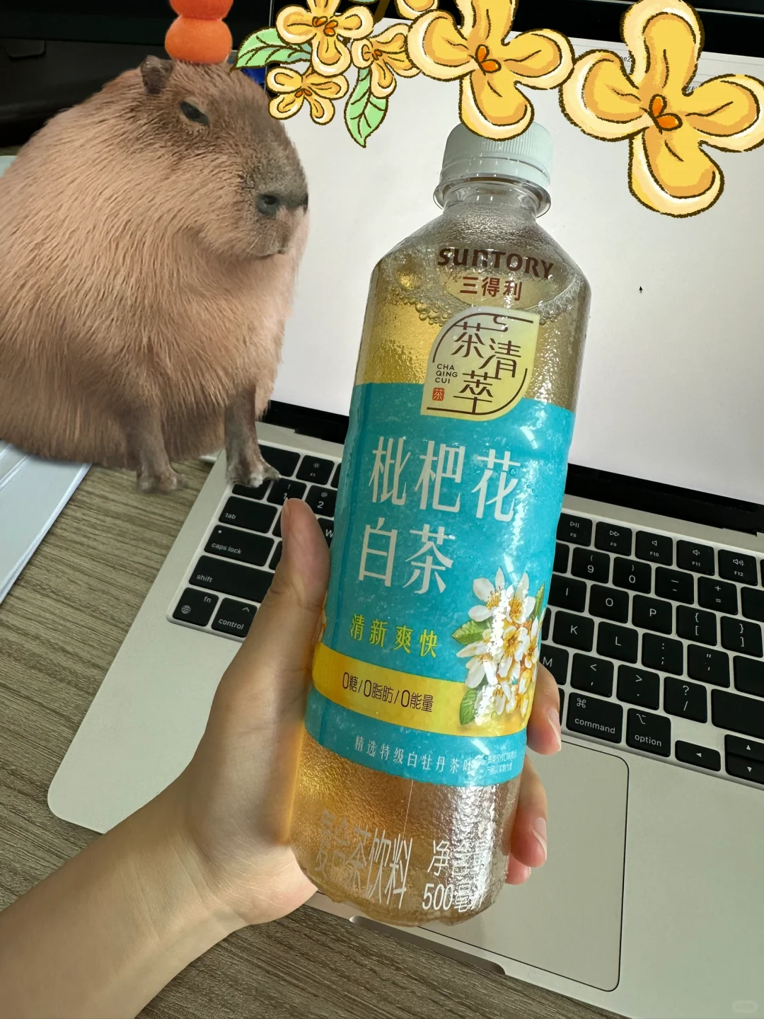 喜欢花香味无糖茶的不要错过！?