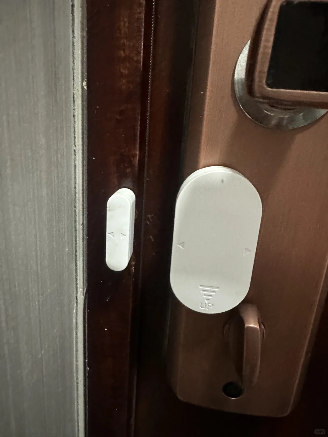 家有双狮，安全无忧!守护你的每一刻安宁