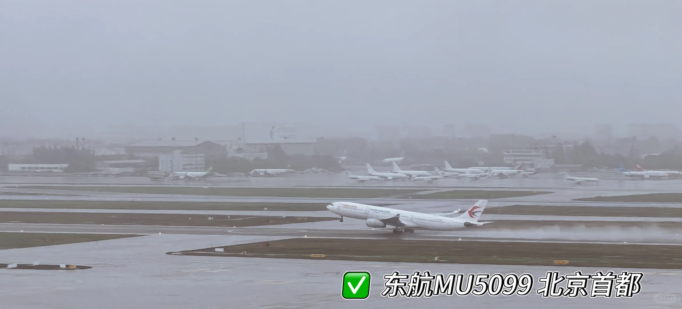 虹桥机场全景打卡 宽体机盛宴