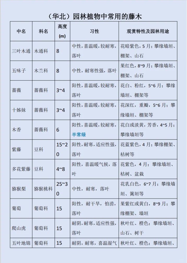 华北｜园林植物中常用的藤木?