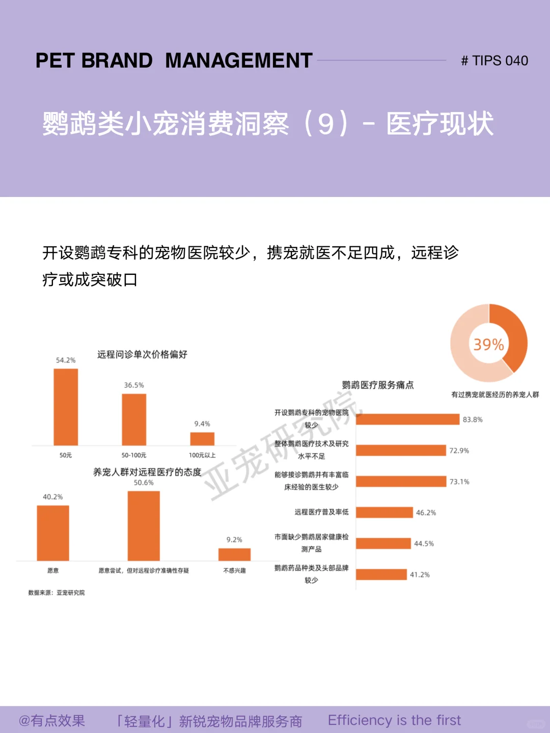 040tips｜2025小宠市场：鹦鹉