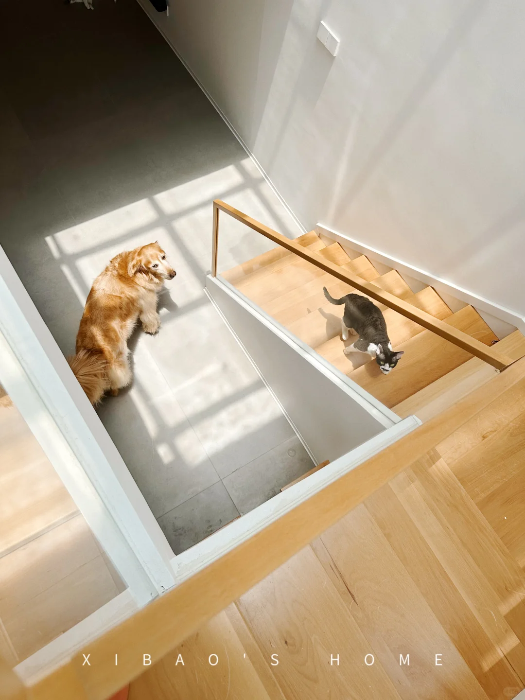 ?花一万七做了实木超白玻楼梯丨附详细尺寸