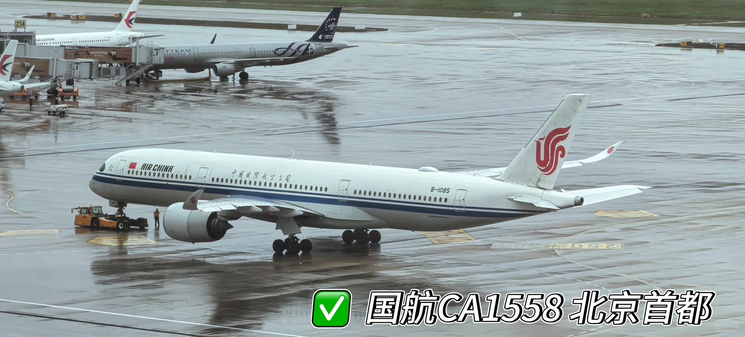 虹桥机场全景打卡 宽体机盛宴