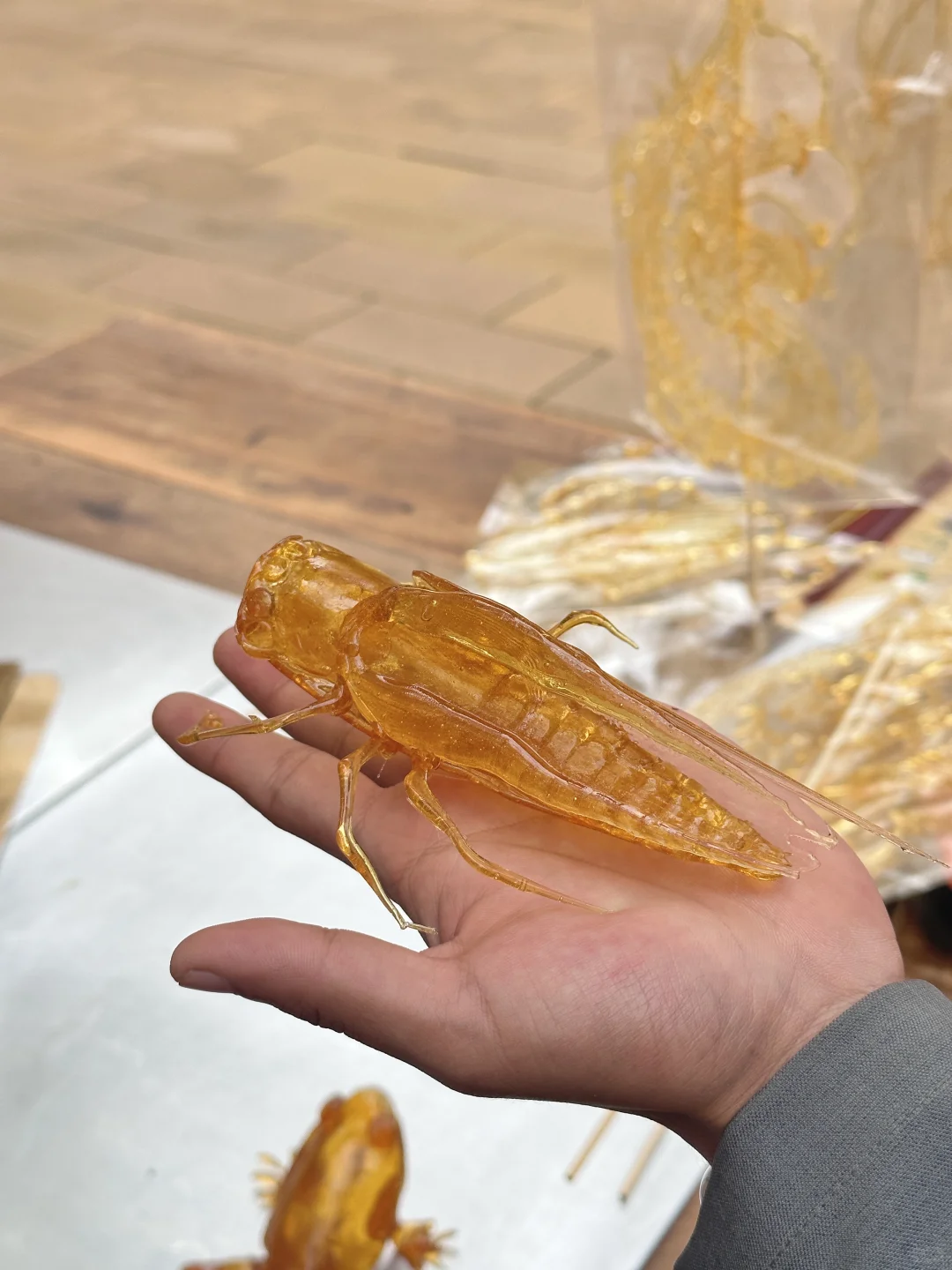 城里的蝉｜抓住那只蝉就以为能抓住夏天