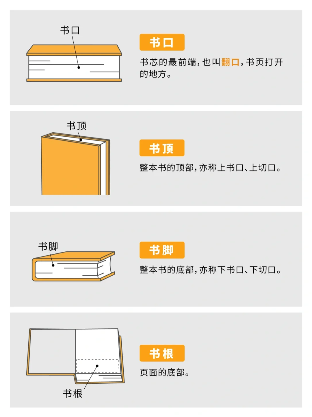 必看！这些书籍装帧结构让你的书更高级✨