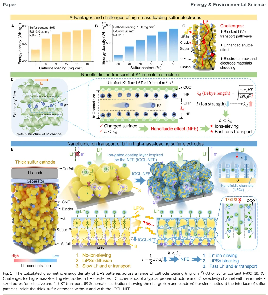 【锂硫】纳米流控效应的新型S/IGCL-NFE阴极