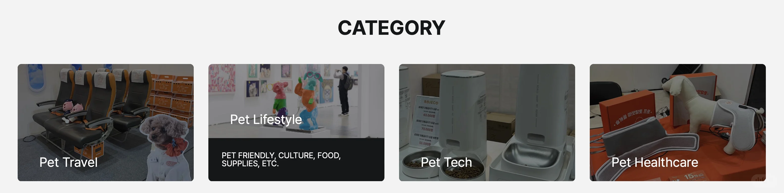 韩国最大宠物展MEGA ZOO免费预约攻略