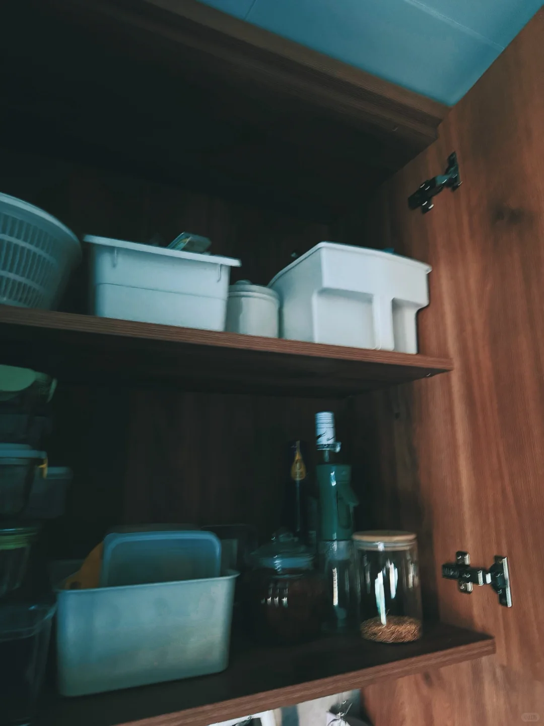 今日宜整理｜近期买到的收纳好物