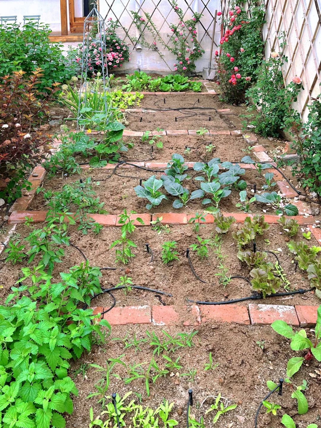 300块钱自制200平米花园自动灌溉系统?