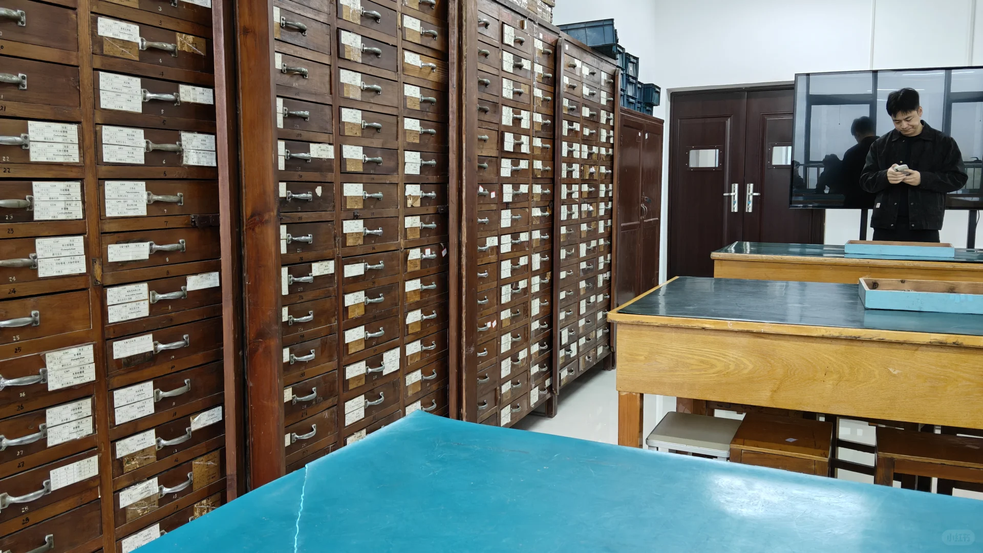 今天和铁矿打交道