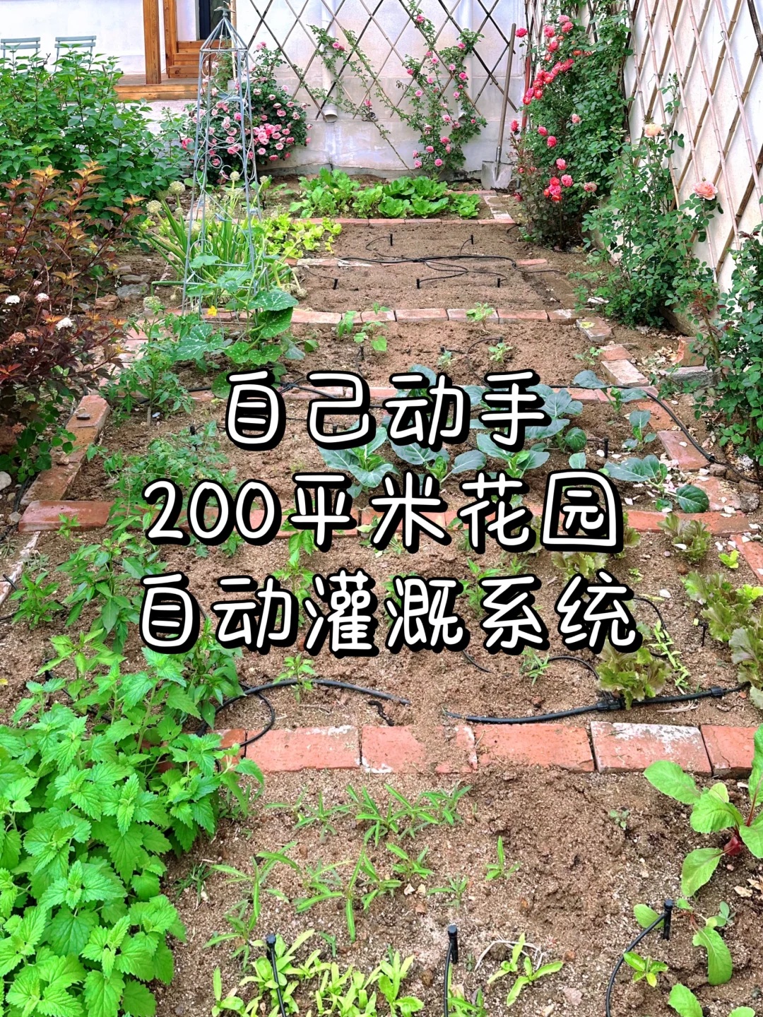 300块钱自制200平米花园自动灌溉系统?