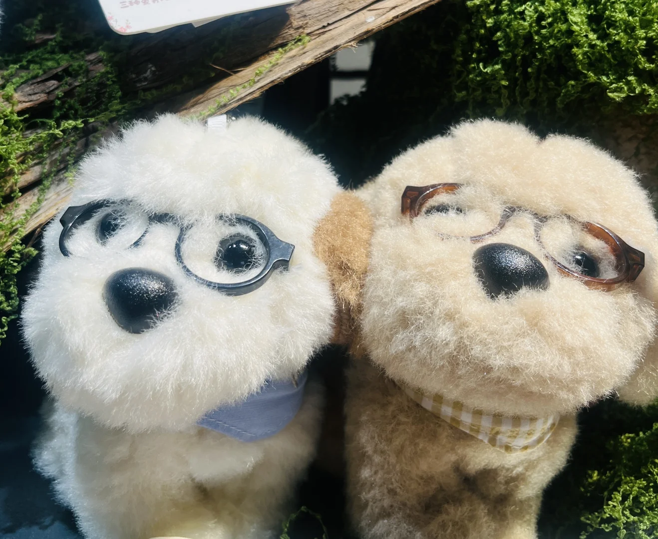 被闺蜜种草的掌中宝毛绒，可爱到犯规?