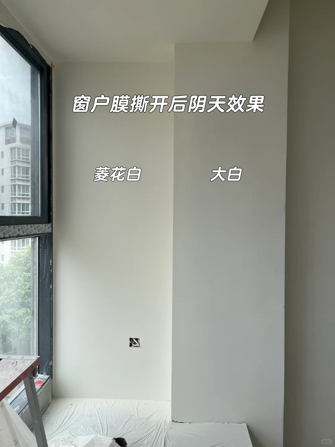 是我心心念念的菱花白没错了