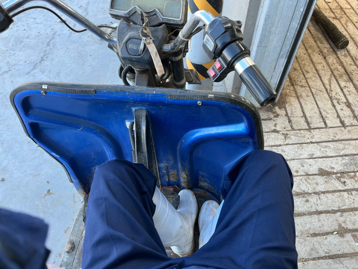 文科毕业生在牧场