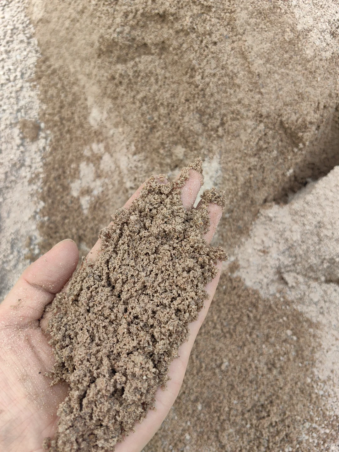 上海码头黄沙水泥直销