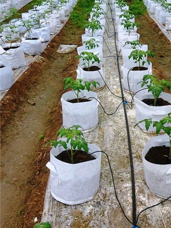 用上这些灌溉系统很高级