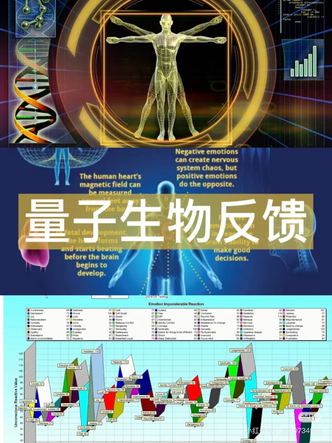 scio生物能量这个检测太准了
