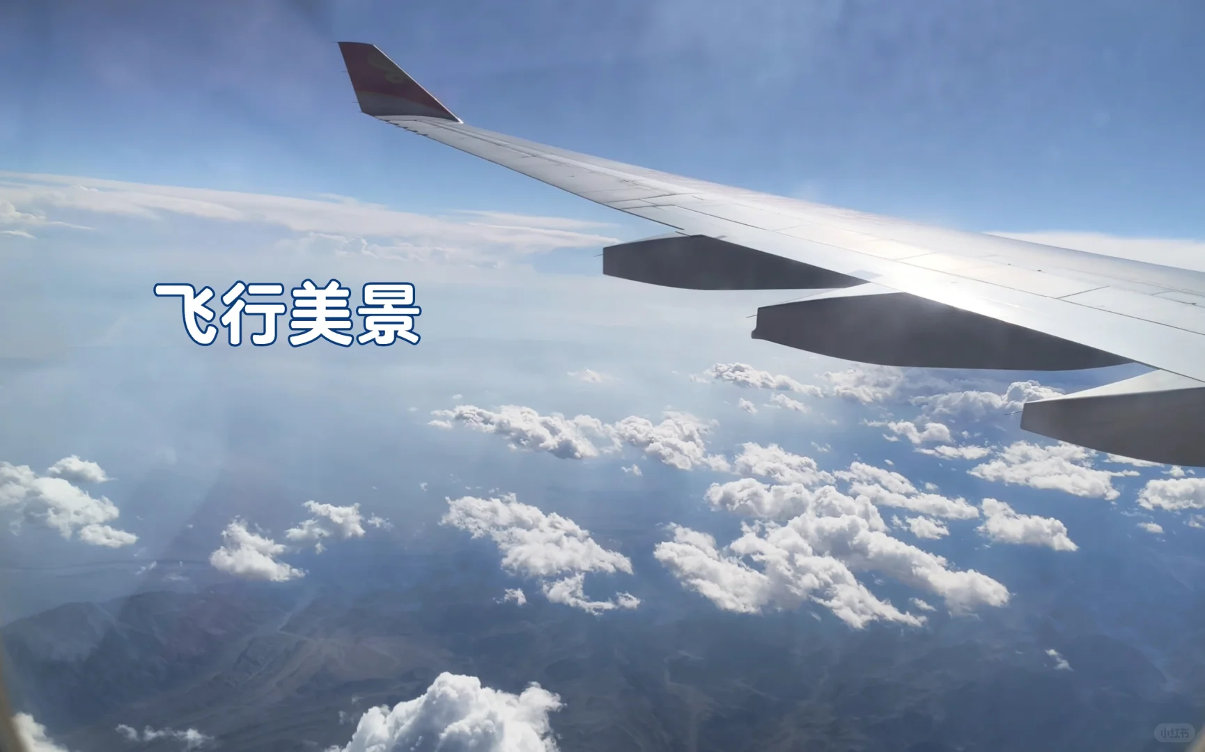 坐✈️宽体机polg!