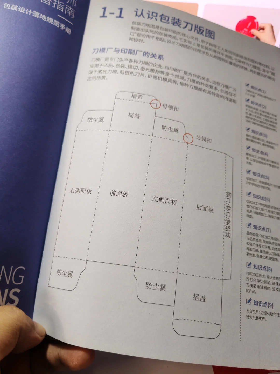 认识包装结构（学习刀版图名称）