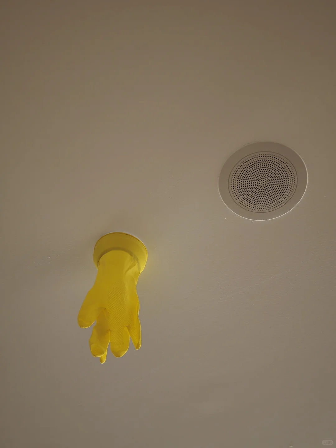 论留子如何对付烟雾报警器以及一个无端联想