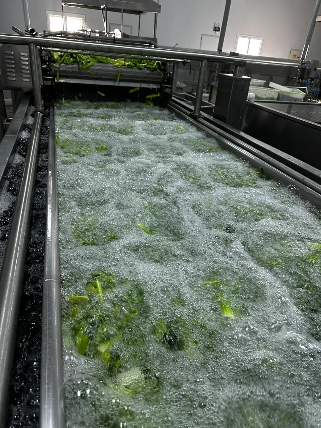 速冻蔬菜加工厂