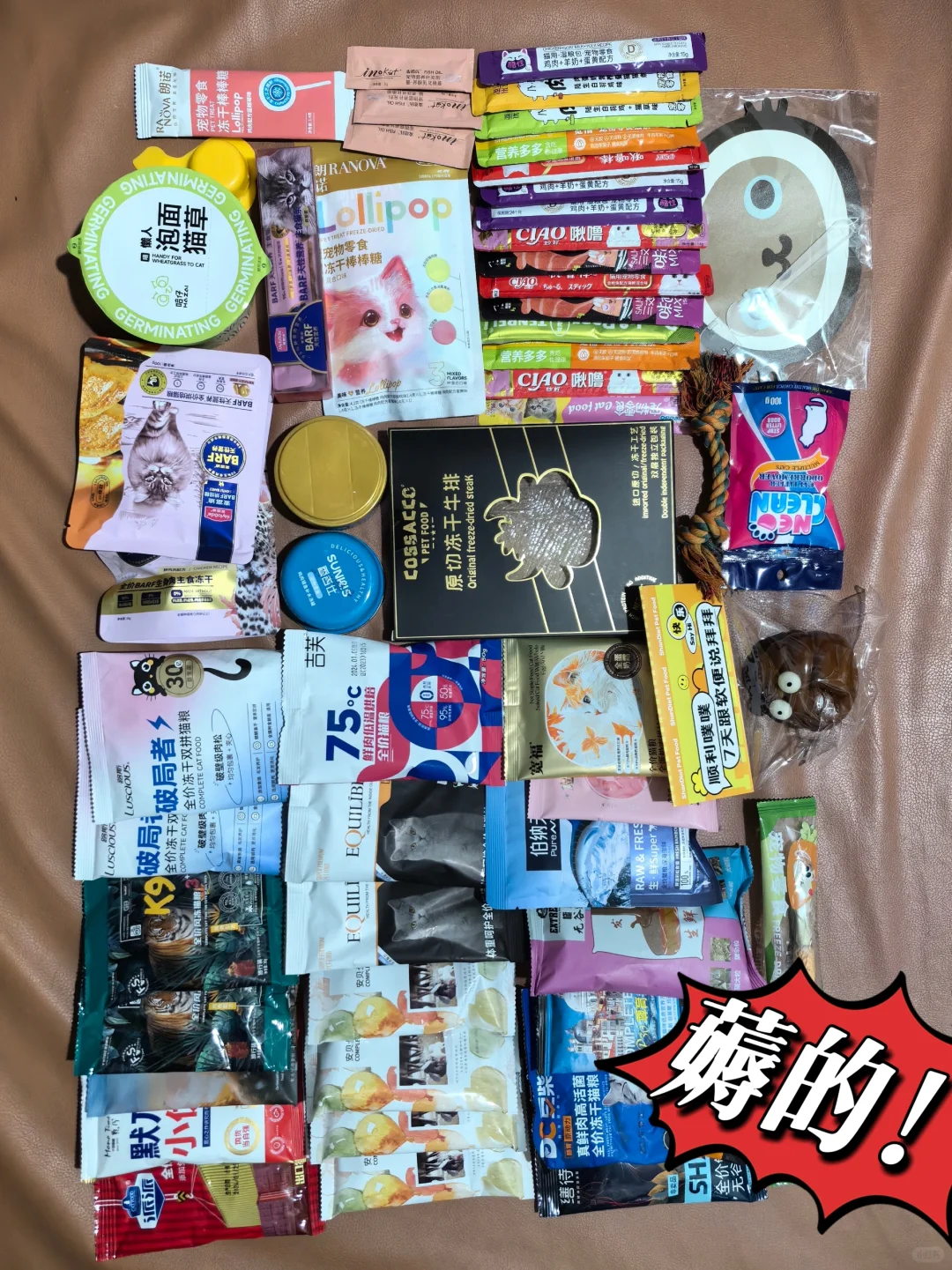 京宠展不集赞无痛薅羊毛攻略