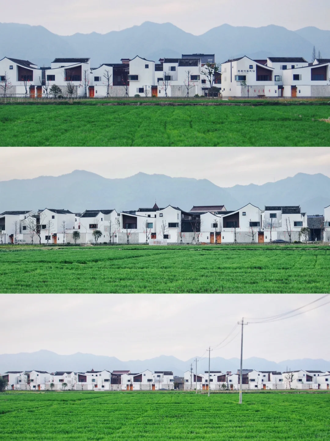 gad把吴冠中的画改造成最美回迁房：东梓关村