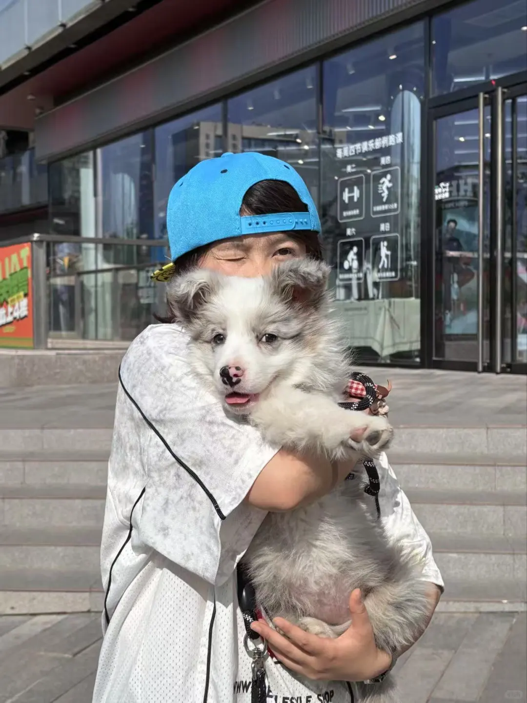 找龙子湖校区兼职，