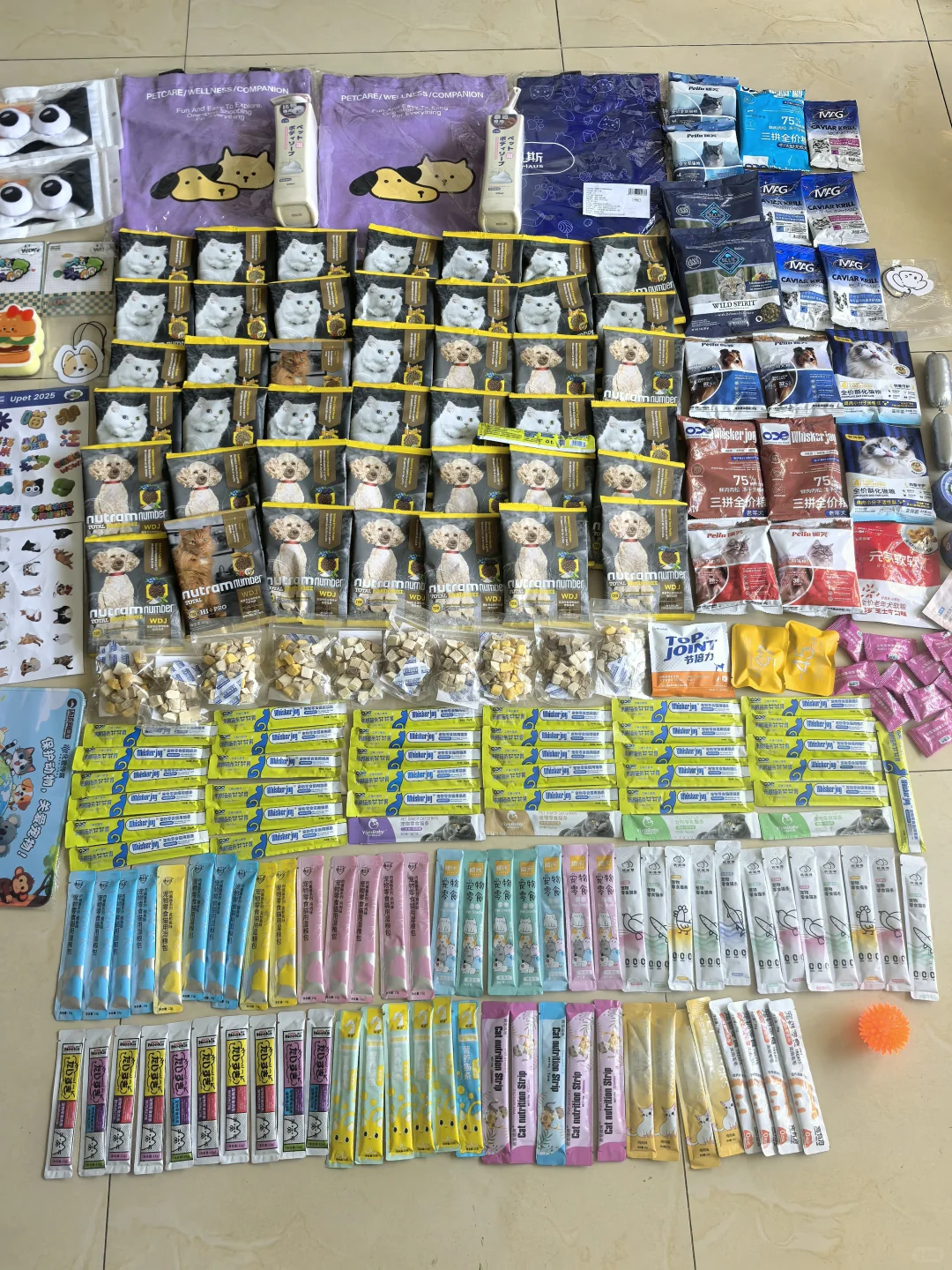 打卡有宠生活2025年宠物展-国际展览中心