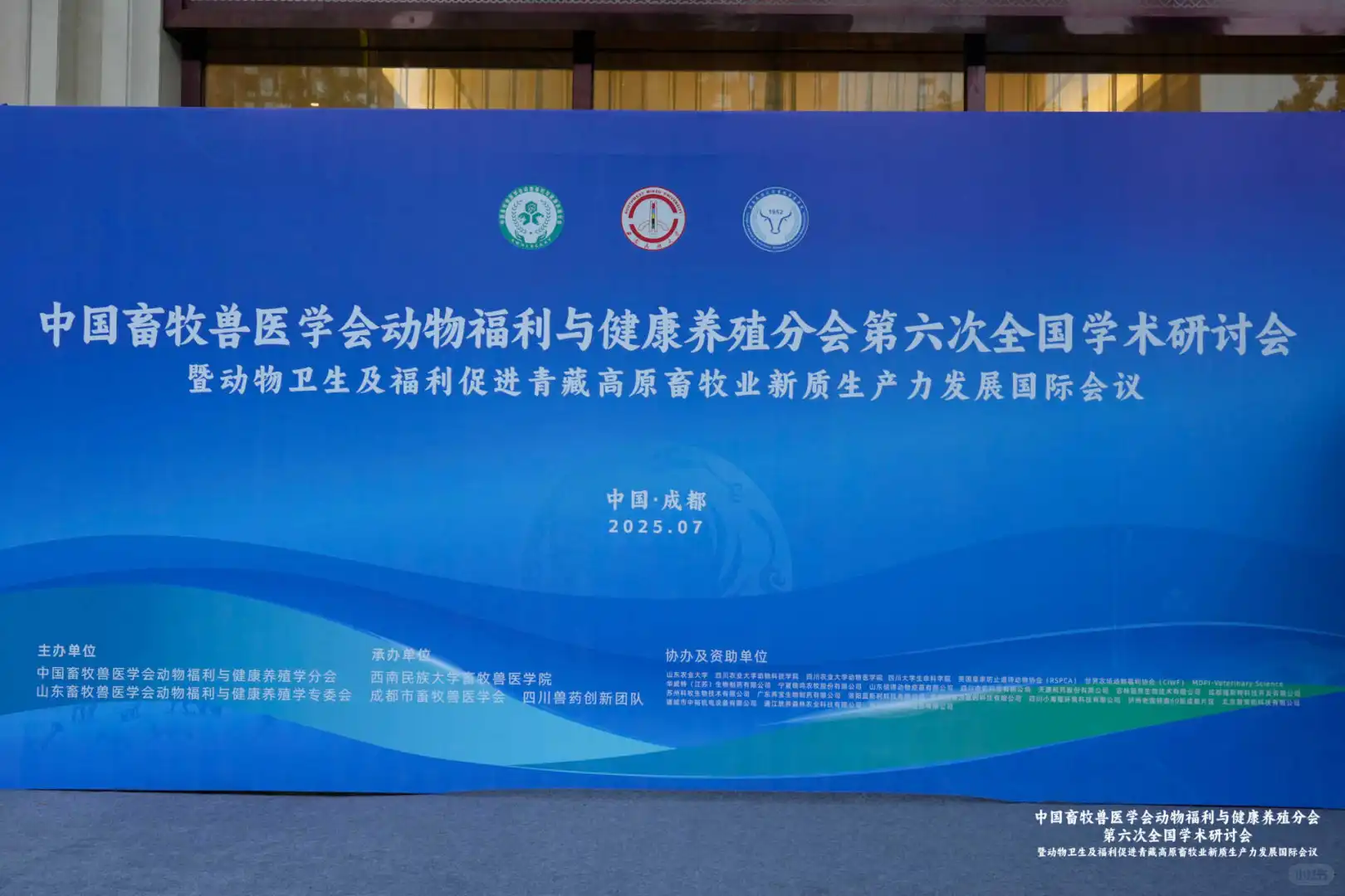 那是一条从雏鸡到牦牛的兽医路