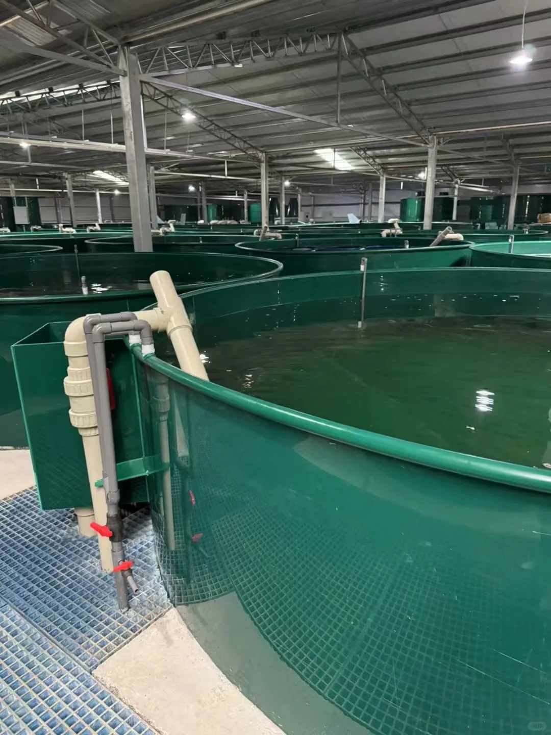 彼欧亿pp板鱼池养殖，干净环保