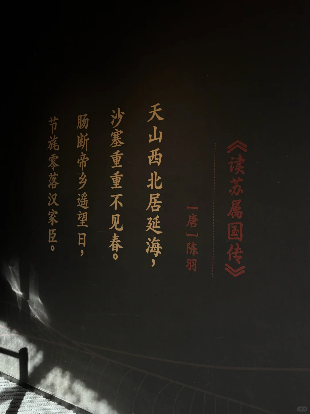 巴丹吉林沙漠里的沉睡的西夏 |黑水城遗址