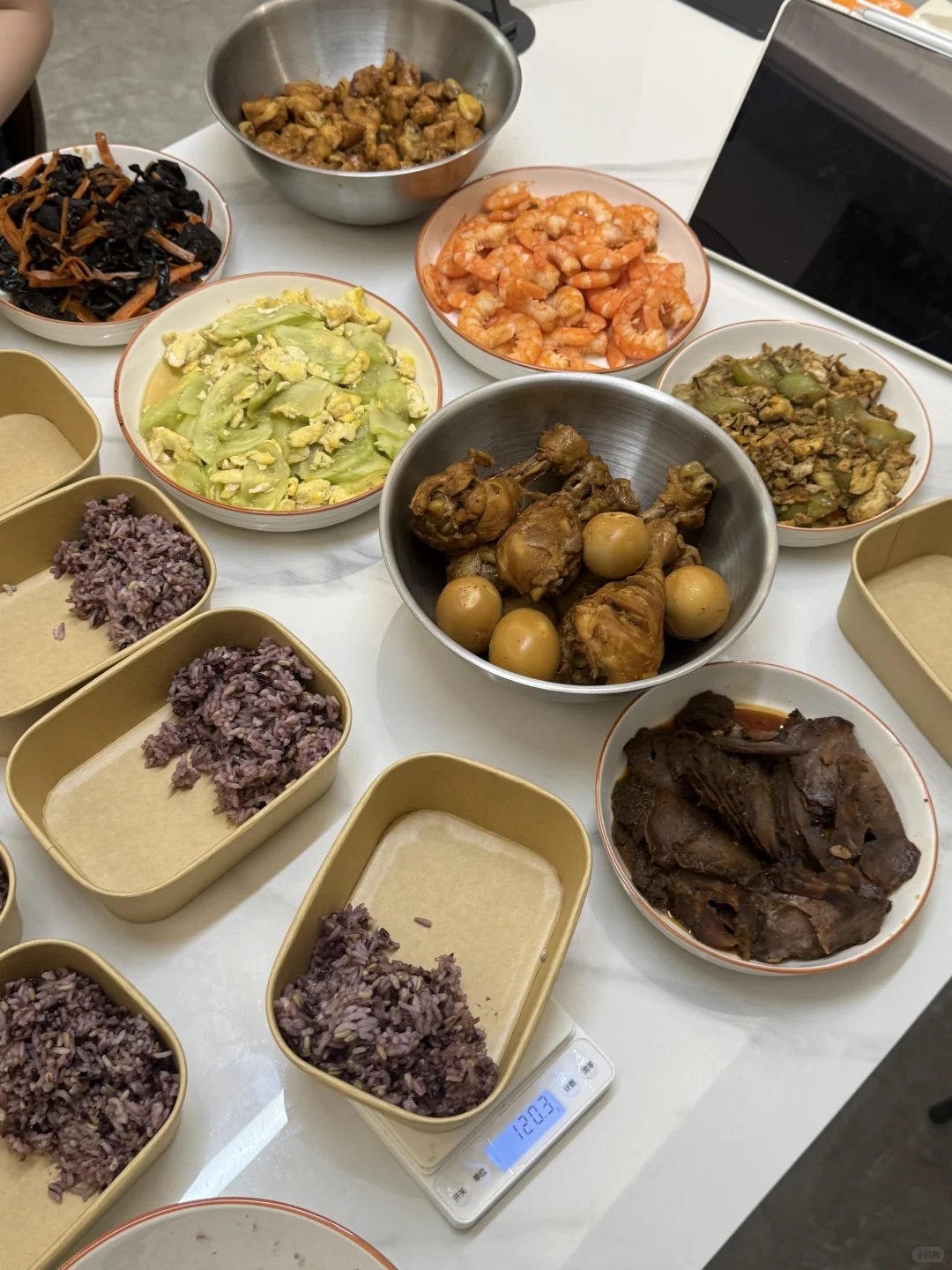 冻门永存 冷冻即永存