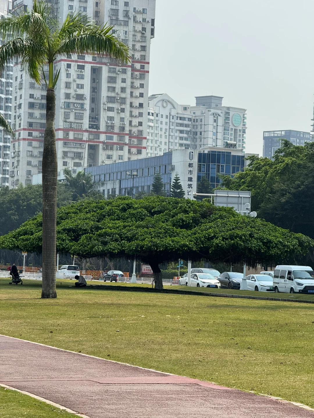 大疆简直是诈骗