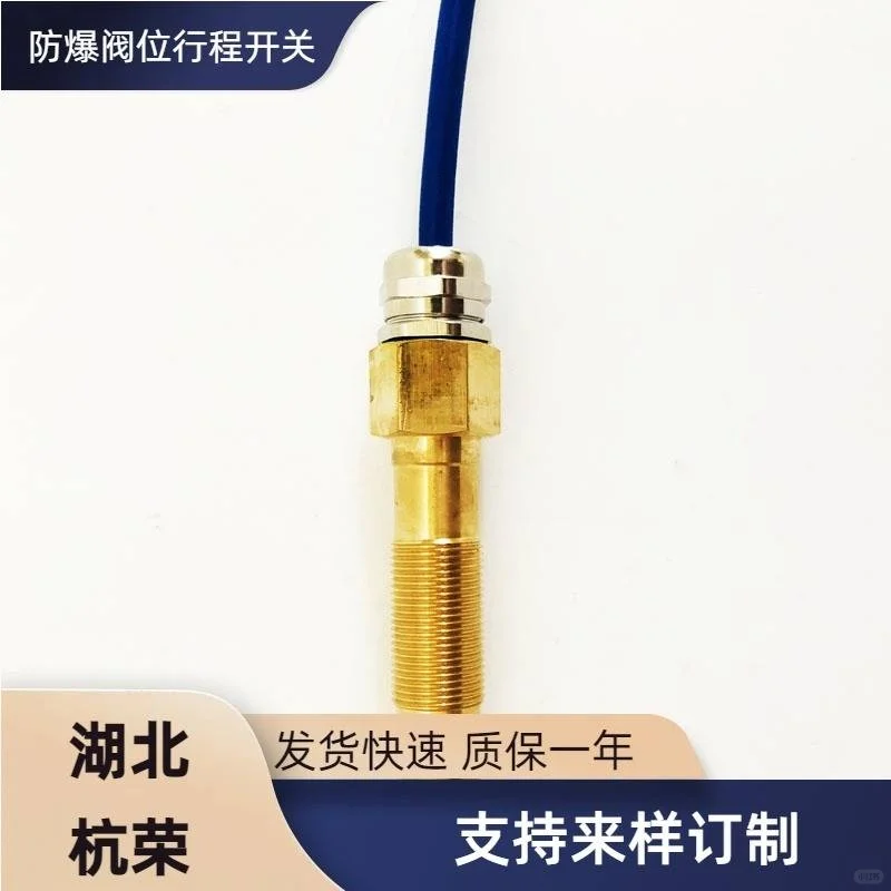 FJK-G6Z2-JA-LED防爆阀位