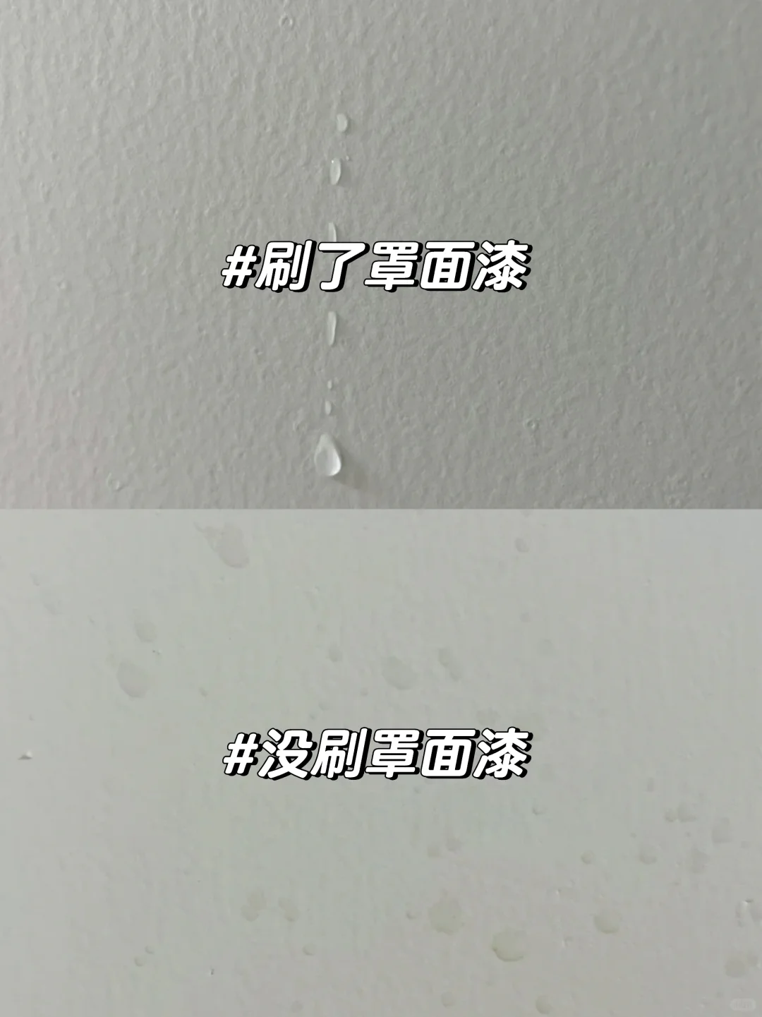 梅雨季救星来了