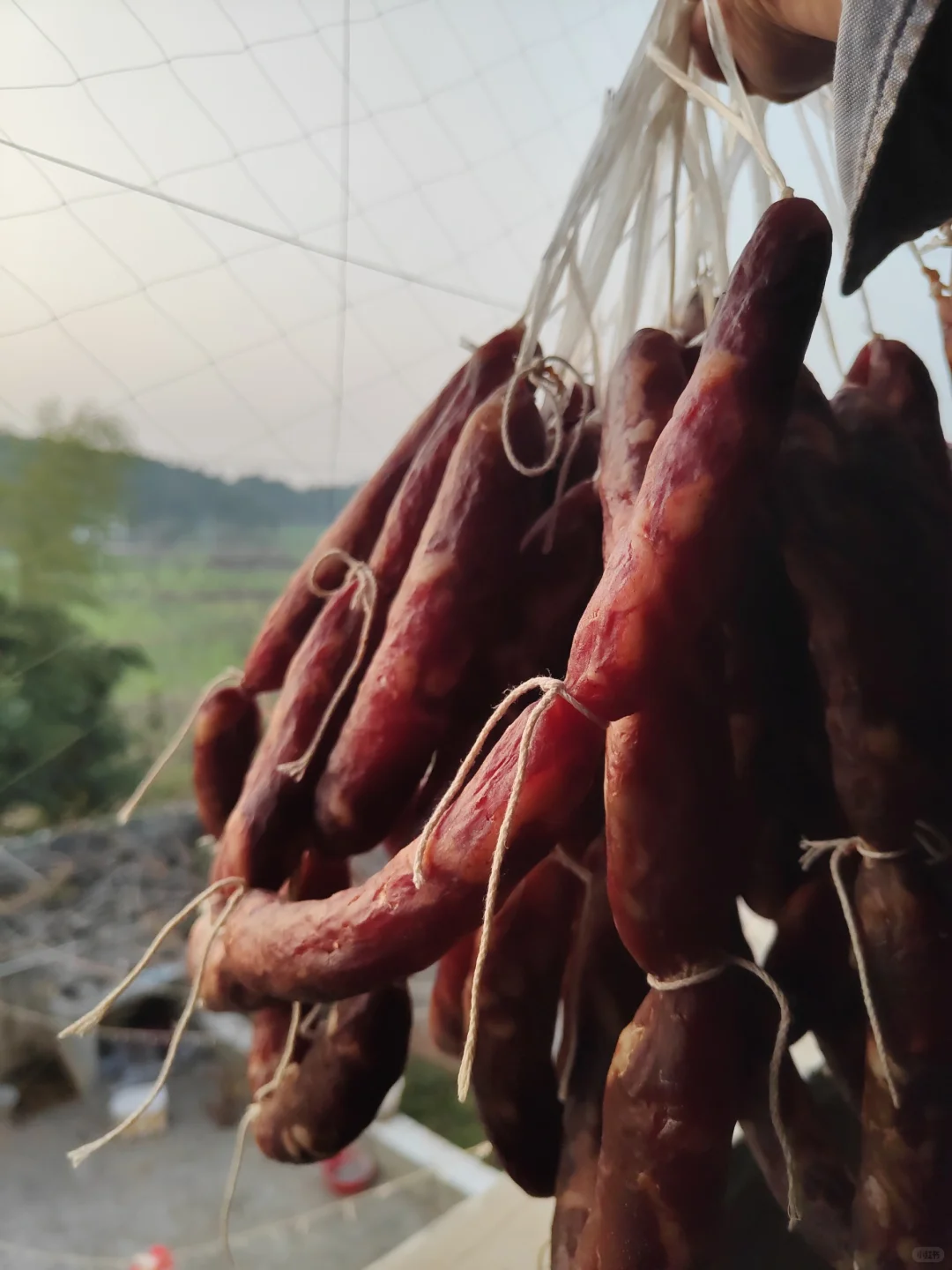 我家四川麻辣香肠长这个样子？想看看你家的
