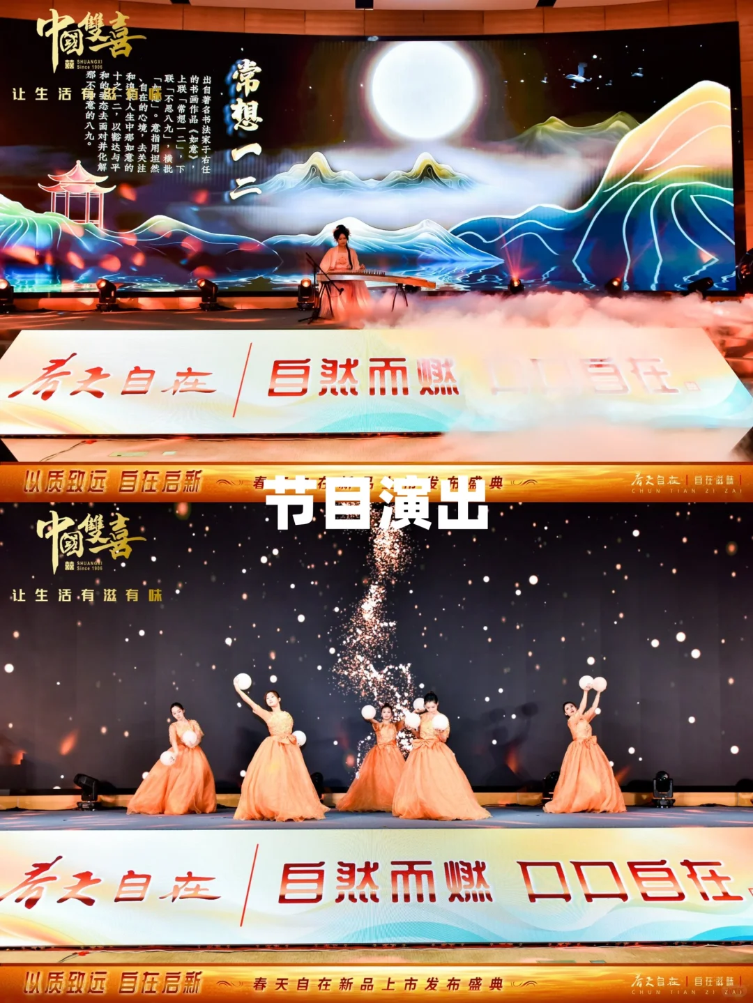 以质致远自在启新 | 春天自在新品上市发布