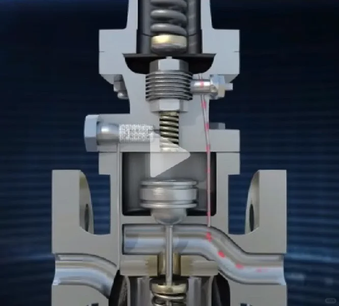 2024/03/29手抄整理！