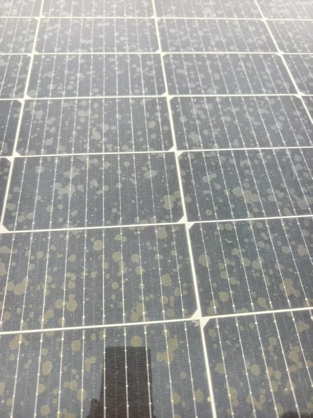 求助！光伏板怎么突然变这样了？