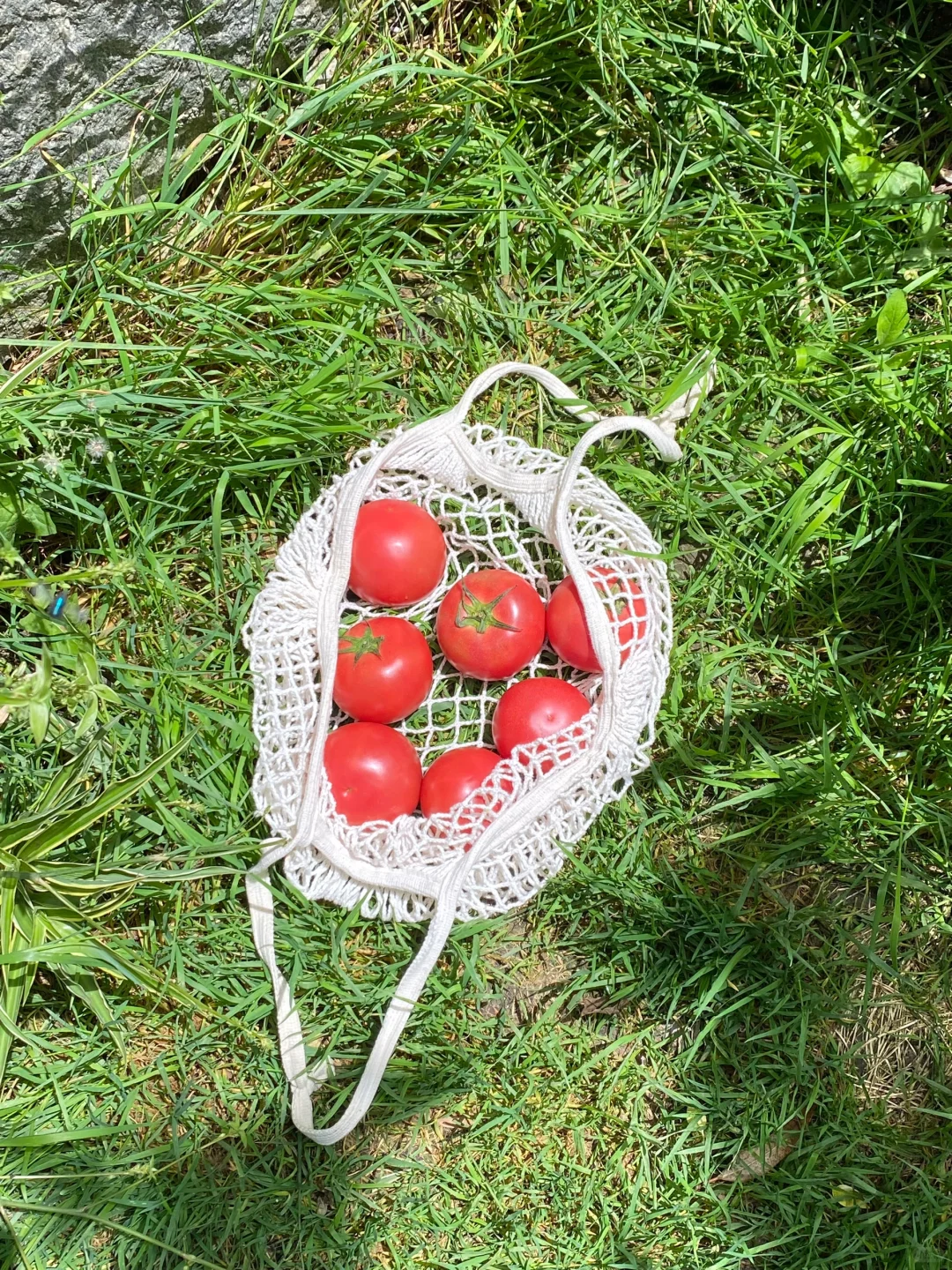 久违的乡村市集